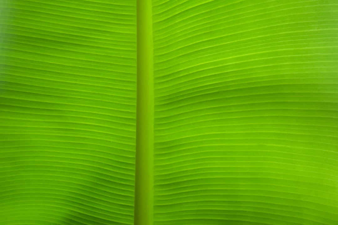 découvrez notre assurance moto verte, conçue pour les conducteurs soucieux de l'environnement. profitez de protections adaptées à votre moto tout en contribuant à la préservation de la planète. obtenez un devis personnalisé et rouleztoujours avec sérénité !