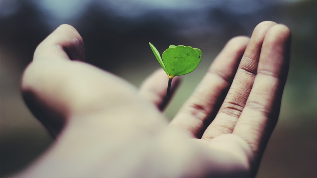 découvrez nos solutions d'assurance adaptées à vos besoins. protégez votre avenir et celui de vos proches grâce à des couvertures complètes et personnalisées. obtenez un devis gratuit dès aujourd'hui!